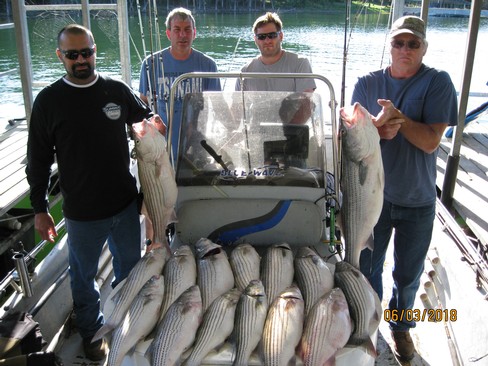 Nice Striped Bass